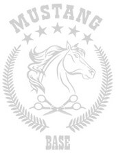 Пелерины парикмахерские - Утяжелитель для пеньюара Mustang MSAY-03 Красный Фото 1